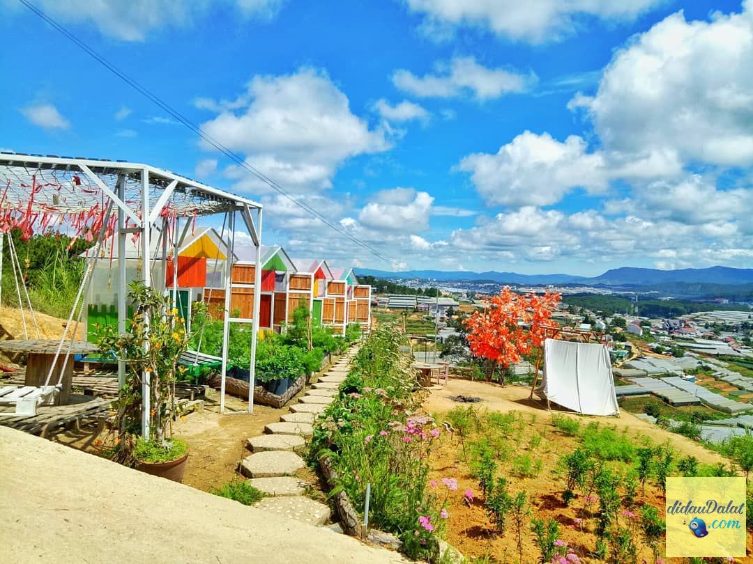 Cafe Nông Trại Vui Vẻ Sunny Farm với "Cầu thang vô cực"