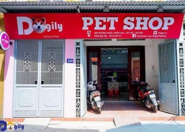 Top 10 Cửa Hàng Mèo Đẹp Giá Rẻ Nhất Thành Phố Hồ Chí Minh 2023 - mof.com.vn
