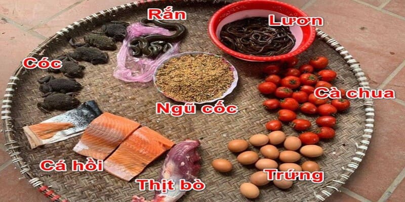 Cách Nuôi Gà C1 – Dinh Dưỡng Và Tập Luyện Cho Gà