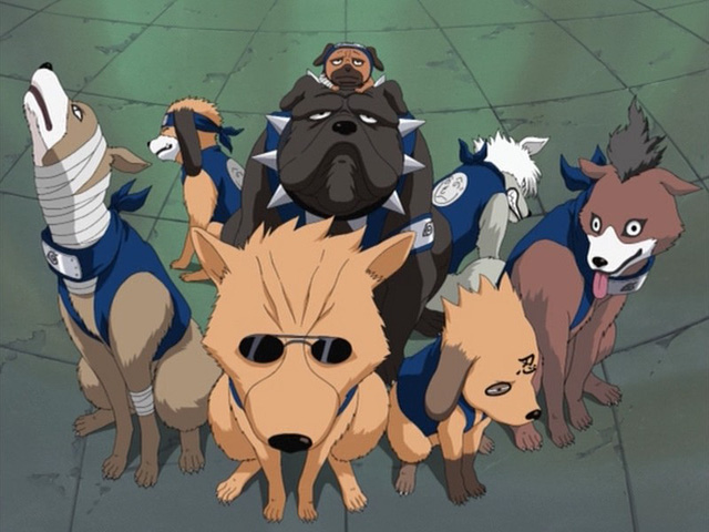  Kakashi có thể triệu hồi 1 lúc rất nhiều linh thú chó tùy theo mục đích sử dụng. 